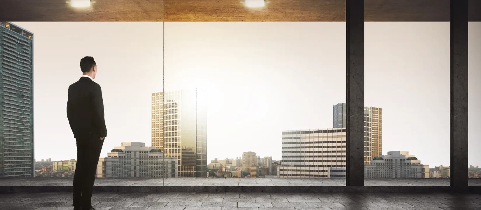 scaling section image